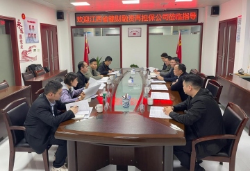 <strong>省贛財(cái)融資再擔(dān)保公司、省財(cái)惠通實(shí)業(yè)公司蒞余開(kāi)展代償補(bǔ)償項(xiàng)目追償摸底專(zhuān)項(xiàng)工作</strong>